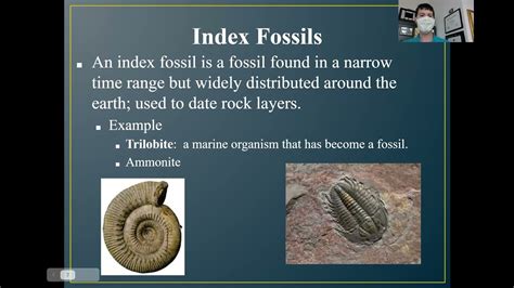 a shark would not be a good index fossil because